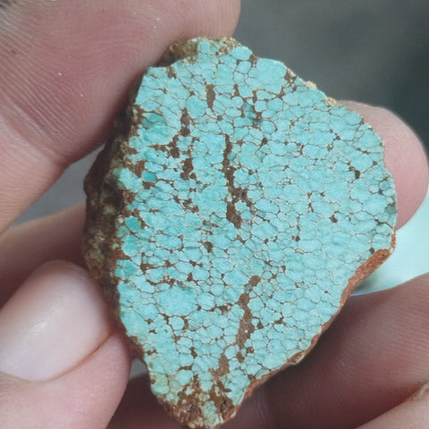 Copy of single piece australian turquoise
