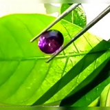 purple ceylon sapphire