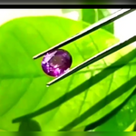 purple ceylon sapphire