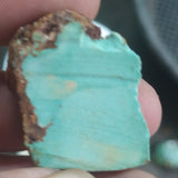 single piece australian turquoise