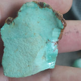 single piece australian turquoise