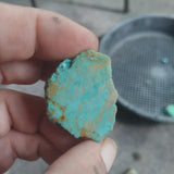 single piece australian turquoise