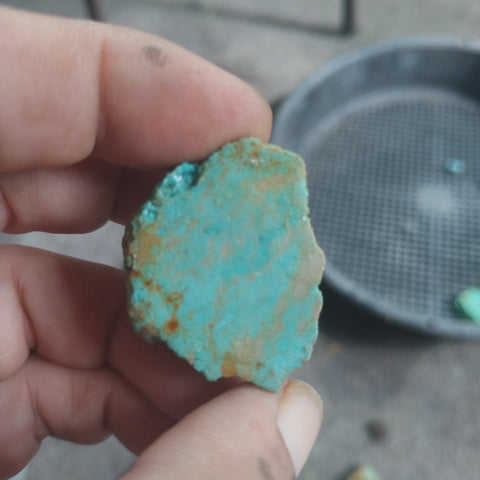 single piece australian turquoise