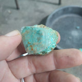 single piece australian turquoise