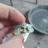 single piece australian turquoise