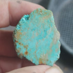 single piece australian turquoise