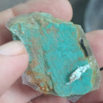 single piece australian turquoise