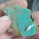 single piece australian turquoise