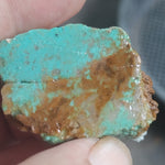 single piece australian turquoise