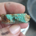 single piece australian turquoise