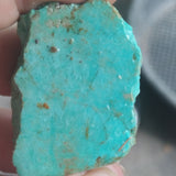 single piece australian turquoise