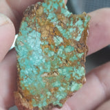 single piece australian turquoise