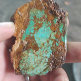 single piece australian turquoise matrix