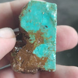 high grade single piece australian turquoise