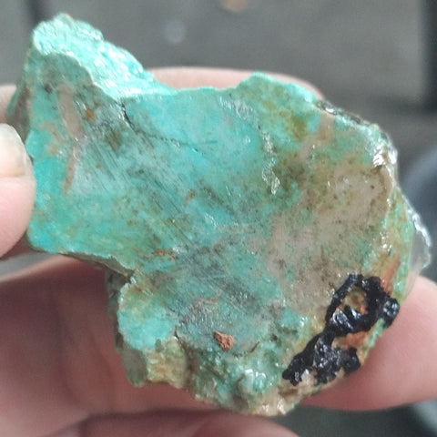 high grade single piece australian turquoise
