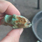 high grade single piece australian turquoise