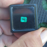 Afghan Emeralds afg5