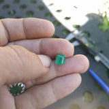 Afghan Emeralds afg8