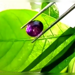 purple ceylon sapphire