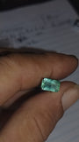 Australian Emerald tor4