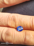 oval 1.9 ct  Sri lanka sapphire