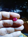 afghan ruby