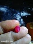 afghan ruby