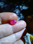 afghan ruby