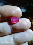 afghan ruby