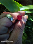 afghan ruby 3.7ct