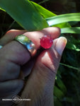 afghan ruby 3.7ct