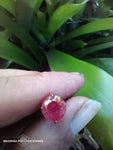 afghan ruby 3.7ct