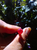 afghan ruby 3.7ct