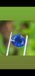 certified ceylon sapphire